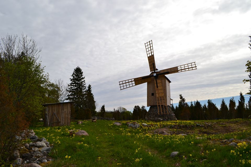 Ennu tuulik Saaremaal
