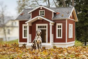 smartdoghouse