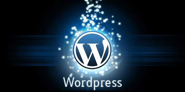 WordPress on Eestis kõige enam kasutatav veebilehekülgede loomise tarkvara