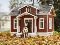 smartdoghouse