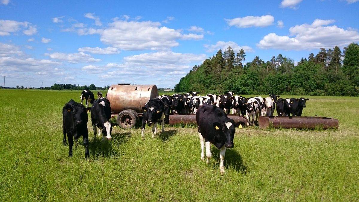 Piimafoorumi fookuses on keskkonnasõbralik tootmine